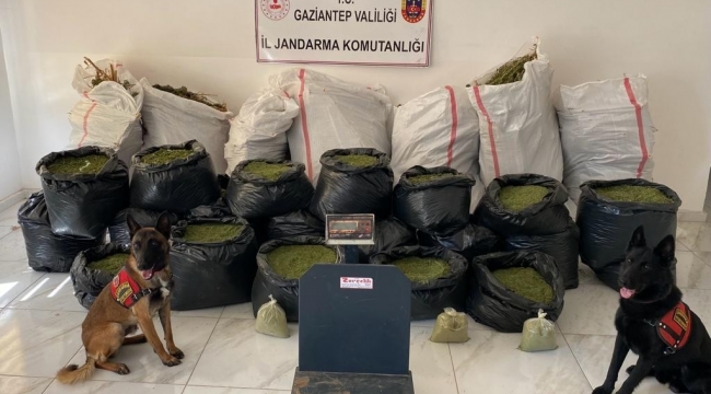 Gaziantep'te 235 kilo kubar esrar ele geçirildi