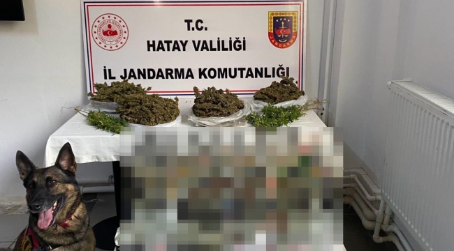 Hatay'da derin dondurucudan uyuşturucu çıktı