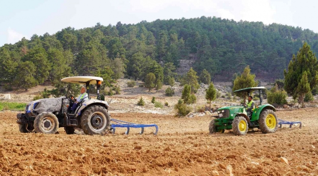 Ücretsiz tohum ve ekimle Toroslar'da boş tarlalar üretime katılıyor