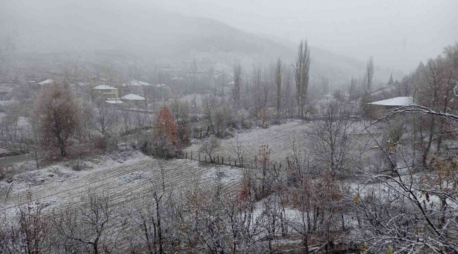 Adana'ya sezonun ilk karı yağdı