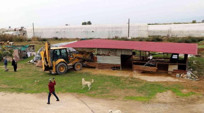 Akdeniz Belediyesi kaçak yapıları yıktı