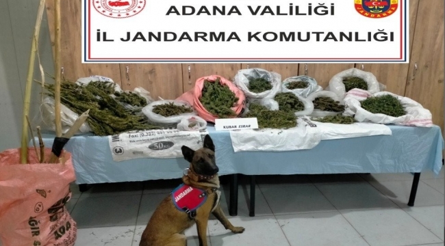 Adana'da çiftlik evinde uyuşturucu ele geçirildi