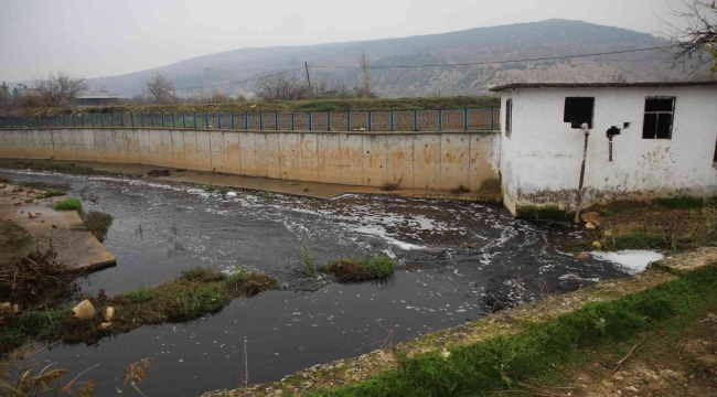 Deredeki balık ölümleri vatandaşları tedirgin ediyor