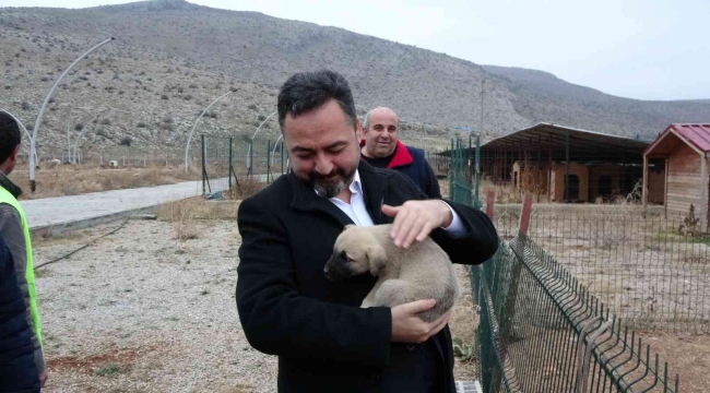 Elbistan Belediyesi başıboş köpekler için harekete geçti