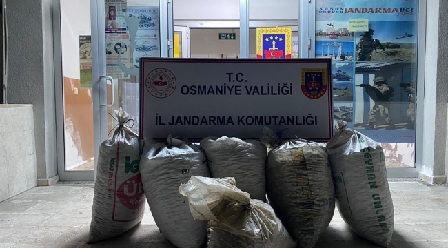 Osmaniye'de 300 kilo yerfıstığı çalan 2 şüpheli yakalandı