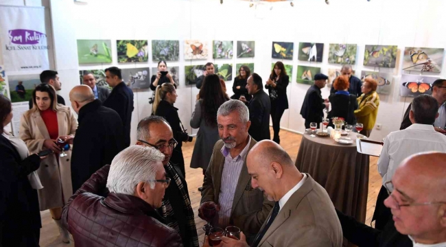 Bülent Akbaş'ın 'Mersin Kelebekleri' fotoğraf sergisi açıldı