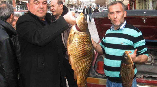 Kebap diyarında balık avlayarak geçimlerini sağlıyorlar