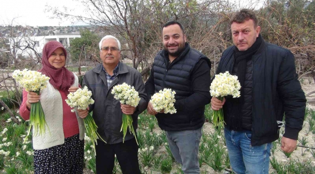 Kışta baharı yaşatan nergis çiçekleri 150 liradan 50 liraya düştü