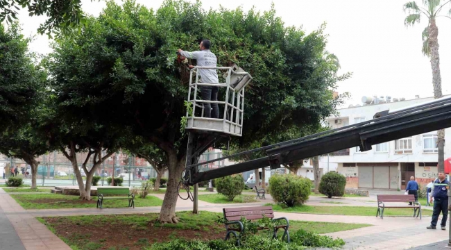 Akdeniz'de park, bahçe ve yeşil alanlar yenileniyor