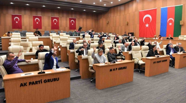 Başkan Çetin: "Meclisimiz bugün tarihi bir karar almıştır"