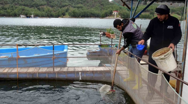 Deprem balık ihracatını da vurdu: Üretim 7 milyon ton azalacak