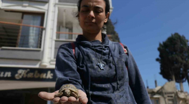 Hatay'da depremzede, ağır hasarlı evine girdiğinde gözlerine inanamadı