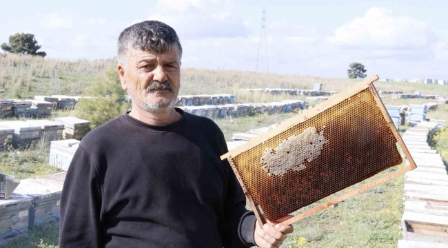 Hırsızlar 700 adet bal peteğini çaldı, arıları telef etti