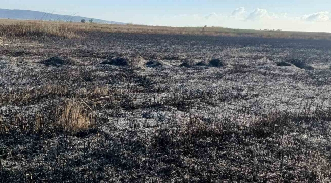 Koruma altındaki Göksu Deltası'nda çıkan yangın kendiliğinden söndü