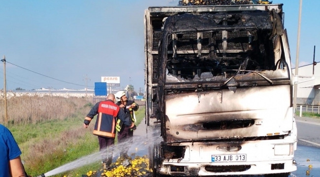 Limon yüklü kamyonda çıkan yangın maddi hasara neden oldu