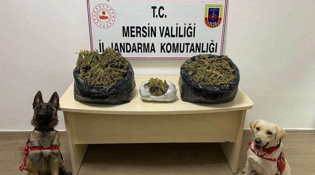 Mersin'de uyuşturucu operasyonu: 2 gözaltı