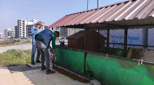 Osmaniye'de sokak hayvanlarına mama desteği