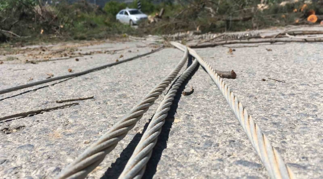 Rüzgarda devrilen asırlık ağaç yolu ulaşıma kapattı