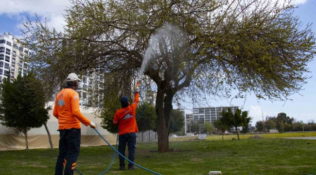 Mersin'de haşere ile mücadale çalışmaları hız kazandı