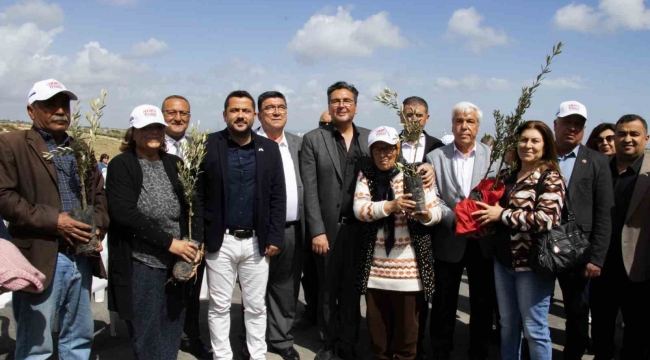 Mersin'de üreticilere 11 bin 100 adet zeytin fidanı desteği sağlandı