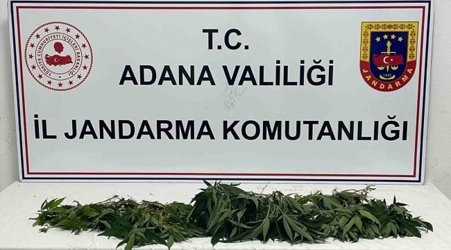 Adana'da jandarmadan "Huzur ve güven" uygulaması