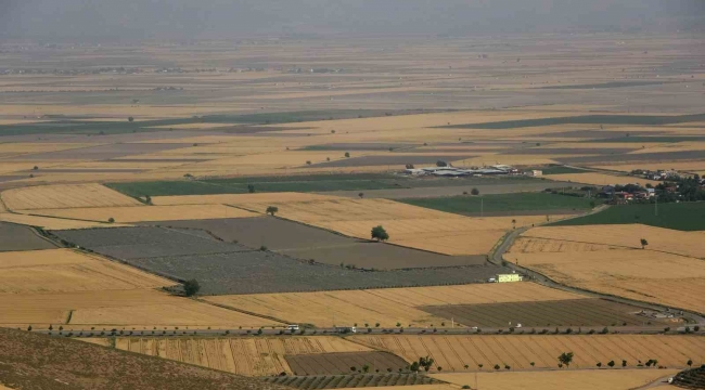 Buğdayın önemi anlaşıldı