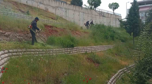 Dulkadiroğlu'nda çevre temizliği