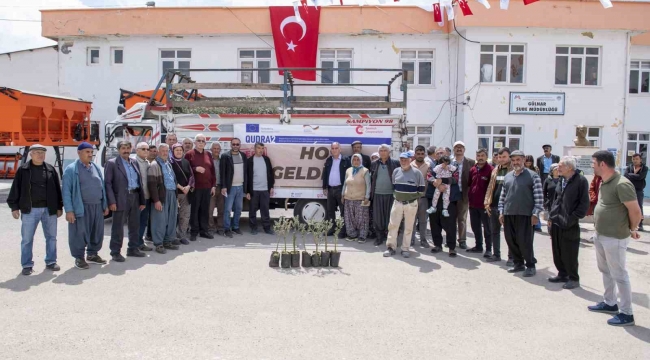 Gülnar'da 3 bin zeytin fidanı dağıtıldı