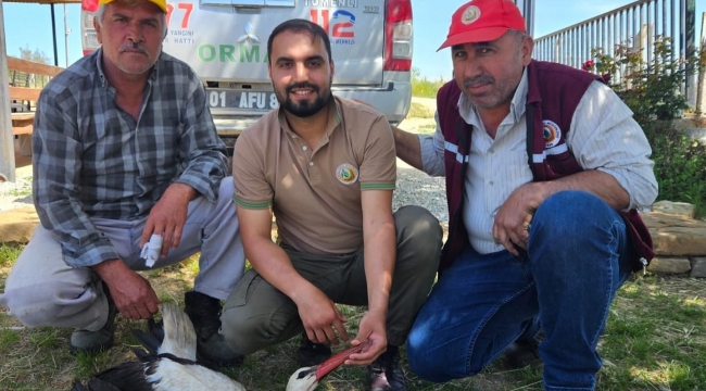 Ormancıların bulduğu yaralı leylek tedavi altına alındı