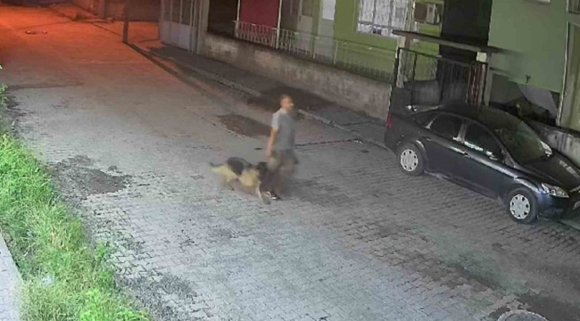 Çaldığı köpekle sokakta salına salına gezen şahıs, polis ekiplerinden kaçamadı
