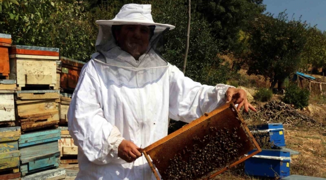 Kadın girişimci devletten önce eğitim, sonra da kredi alarak arıcılığa başladı