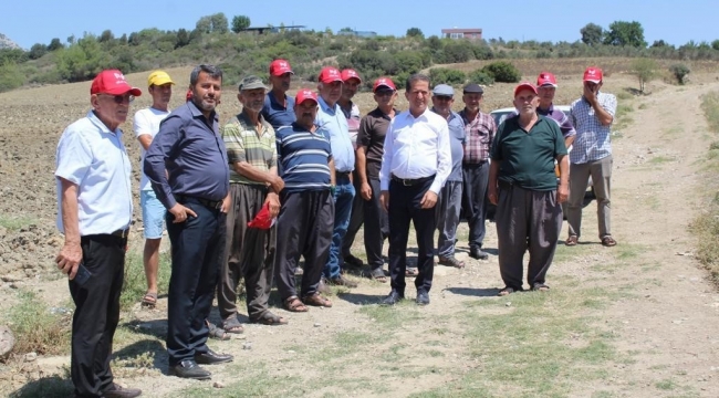 Mevsimlik işçi sorunu narenciye hasadını sekteye uğratıyor