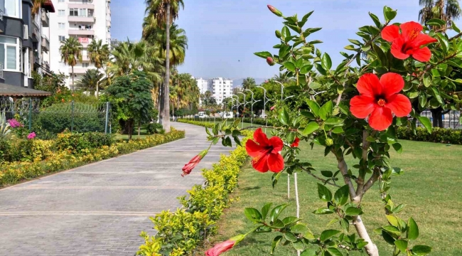 Mersin'de 9 milyon bitkilendirme çalışması yapıldı