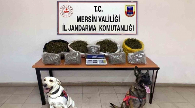 Mersin'de uyuşturucu ticareti yapan 4 şüpheli yakalandı
