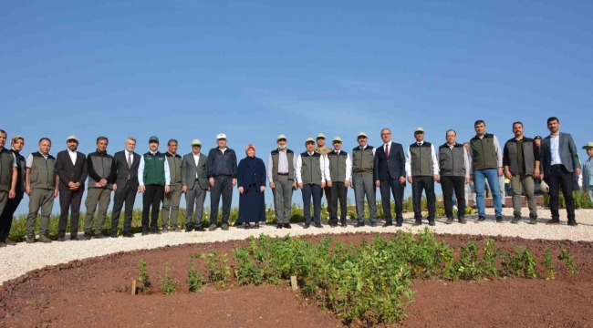 Milli Ağaçlandırma Günü'nde deprem şehitleri unutulmadı