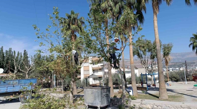 Mut'ta yol, park ve bahçelerin kışlık bakımı yapılıyor