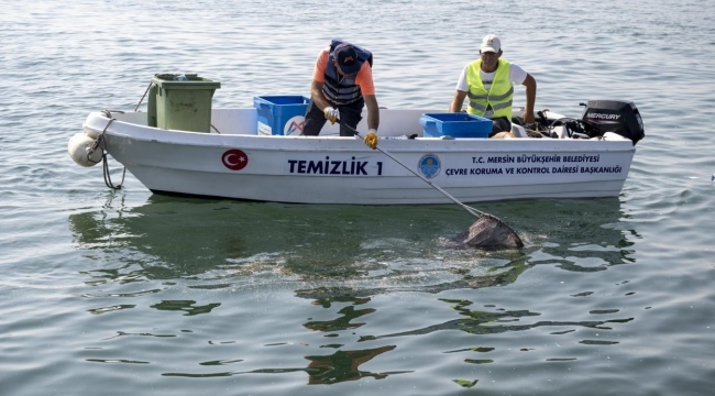 Akdeniz'de mikroplastik alarmı: Denizden çıkan 1 ton atığın 800 kilogramı plastik