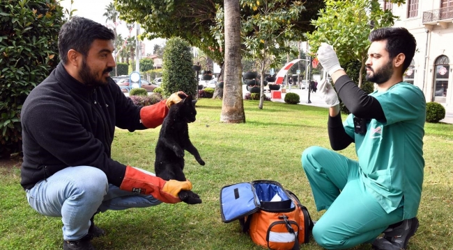 Kaşlı Bakımevi binlerce "Can Dostun" yaşamına dokundu