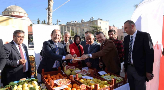 Mersin'de narenciye tüketim seferberliği