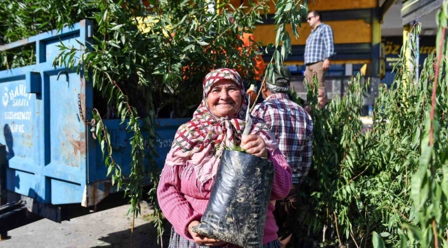 Mersin'de üreticilere badem fidanı desteği
