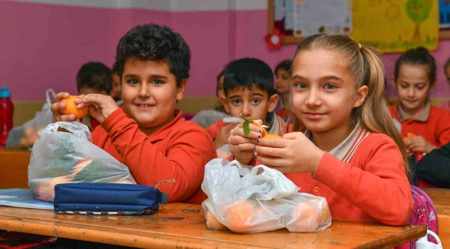 Mersin'deki okullardaki çocuklara 100 ton narenciye dağıtılacak
