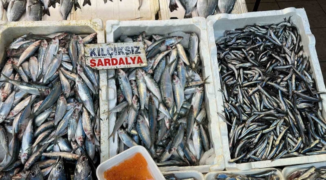 Sardalya ve hamsi balıkçıların yüzünü güldürüyor