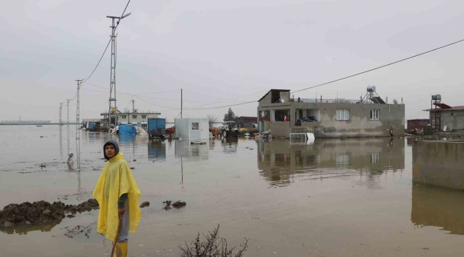 Göle dönen Amik Ovası'nda evler ve ahırlar su içerisinde kaldı