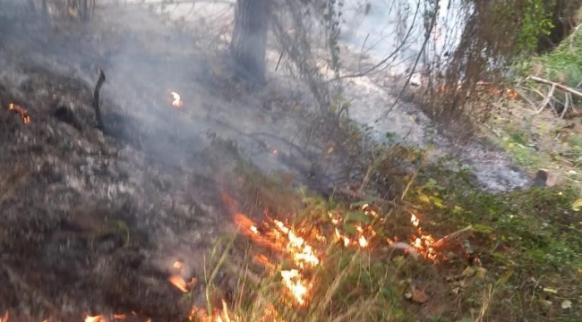 Hatay'da çıkan orman yangını itfaiye ekibi tarafından söndürüldü