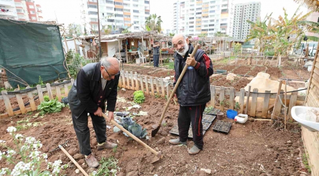 Mezitli'nin 'Hobi Bahçeleri'ne büyük ilgi