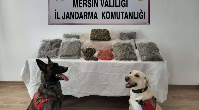 Mikrodalgadan bile uyuşturucu çıktı, 2 şüpheli tutuklandı