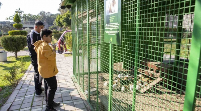 Tarsus Doğa Parkı son bir yılda 400 bin ziyaretçi ağırladı