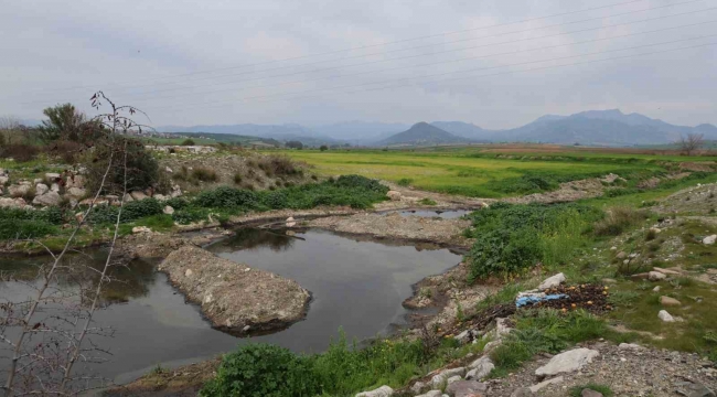 Adana'da dereyi kirleten fabrikaya para cezası uygulandı