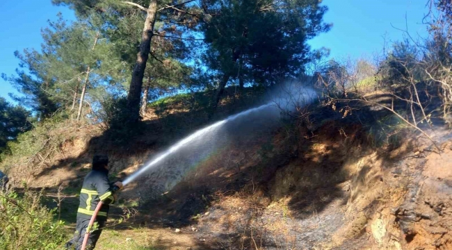 Belen'de ormanlık alanda çıkan yangın söndürüldü