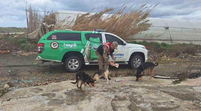 Jandarma sokak hayvanlarını unutmuyor